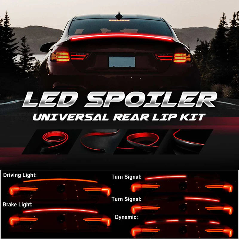 Car & Bike Accessories